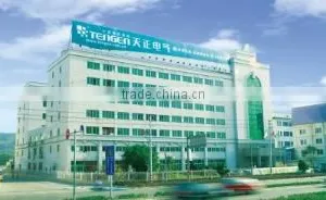 Tengen Group Co., Ltd. company overview - view 3 thumbnail
