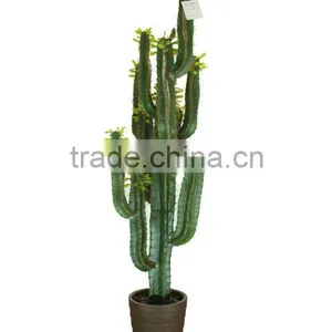 Artificial Cactus 1440 thumbnail-1