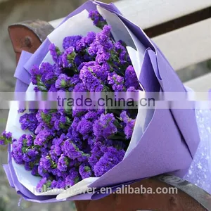 the High Quality Fresh Cut Myosotis Flower to Export thumbnail-1