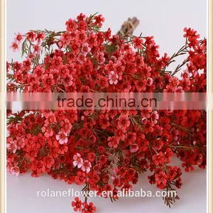 China Wholesale Outdoor Fresh Cut Wintersweet Plants thumbnail-1