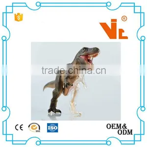 V-AM042 4D MASTER Tyrannosaurus Specimen Anatomical Model thumbnail-1