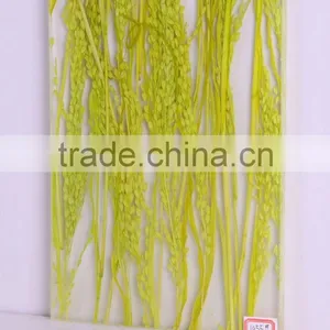 Decorative Acrylic Wall Panels, Decorative Stone Wall Panel thumbnail-2