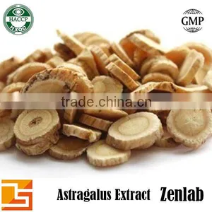 Hot Selling High Quality Polysacchrides 90% Astragalus Extract thumbnail-5