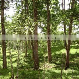 Vietnamese High Quality Cover Film Faced Plywood for Construction, Decorating thumbnail-2