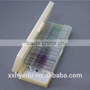 Lab Microscope Prepared Slides , Glass 52kinds Bacterial Prepared Slides,science Prepared Slides thumbnail-6
