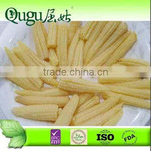Canned Bady Corn Manufacturer thumbnail-1