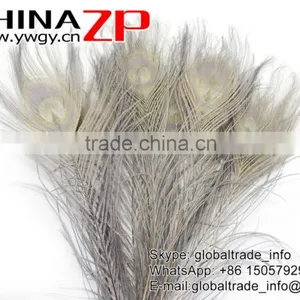 CHINAZP Leading Supplier Wholesale Cheap Full Eye Dyed Grey Long Peacock Tail Feathers thumbnail-2