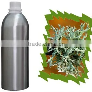OAKMOSS ABSOLUTE thumbnail-1