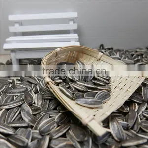 Hulled New Crop Factory Supplied Sunflower Seeds thumbnail-4