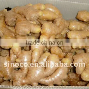 Fresh Ginger Packing in 10 kg Plastic Box thumbnail-1