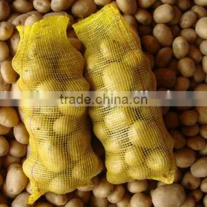 2016 - 2017 New Crop Potato / Holland Type thumbnail-1