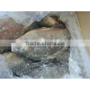 Frozen Whole Organic Tilapia for Sale thumbnail-1