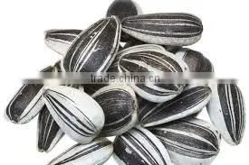 Factory Supply Bulk Organic 5009 Sunflower Seeds thumbnail-1