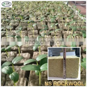 Rock Wool Cubes for Seed Starting thumbnail-3