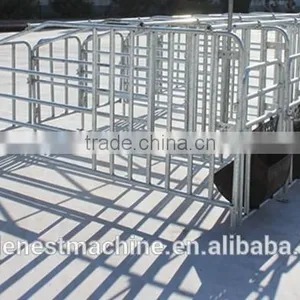 Goldenest Piggery Gestation Crate for Pigs Galvanized Single Stall for Sows thumbnail-3