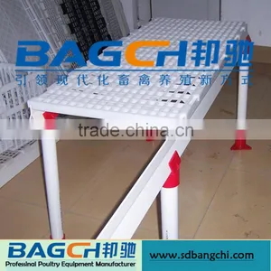 Plastic Slat Poultry Chicken Floor for Farming Equipment thumbnail-3