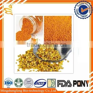 Hot Sale Bee Propolis Powder for Reinforce Vital Energy thumbnail-1