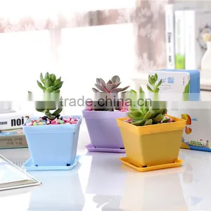 Cheap Square Black Plastic Plant Flower Nursery Pot 10*8.5cm thumbnail-2