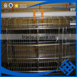Welded Rabbit Cage Wire Mesh thumbnail-5