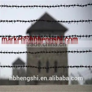 Chain Link Fence Paige Wire Fence Barbed Wire thumbnail-6