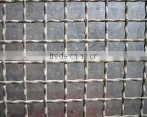 Polymer Filter Mesh, Crimped Wire Mesh, Stainless Steel Wire Mesh thumbnail-3
