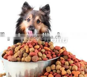 Online Store Dog Food thumbnail-1