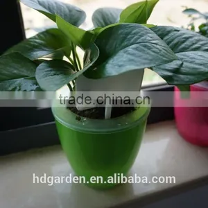 Hot Sale Colored Plastic Plant Marker Tag Wholesale thumbnail-5