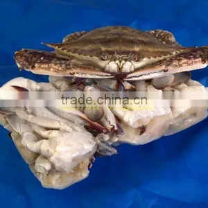 Frozen Fresh Quality Seafood and Fresh Water Crabs thumbnail-1