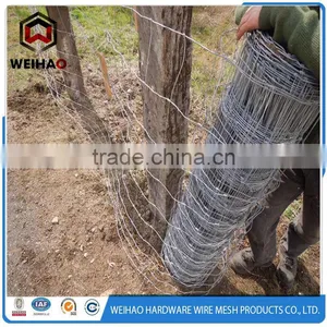 High Quality Galvanized Calf Cattle Fence thumbnail-1