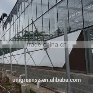 Commercial Multi Span Agricultural Film Greenhouse for Sale thumbnail-2