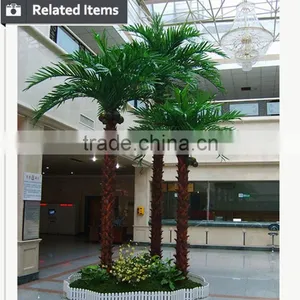 Outdoor Indoor Project Coconut Palm Tree thumbnail-6