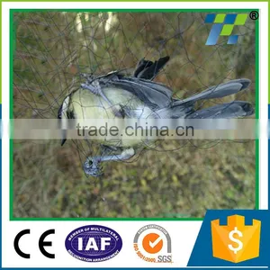 Plastic Mesh HDPE Knitted Vineyard Knotless Bird Proof Net Anti Bird Protection Netting for Vegetable With UV Protection thumbnail-1