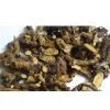 St.John’s Wort P.E thumbnail-1