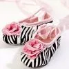 Baby Ballet Shoes thumbnail-1