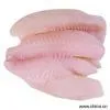 Sell Cat Fish thumbnail-1