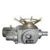 IP65 Waterproof Outdoor Electric Valve Actuator DZW10A, DZW15A, DZW20A for Metallurgy thumbnail-1