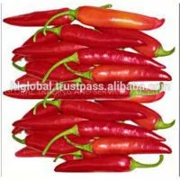Sell Fresh Chilli thumbnail-1