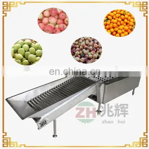 Convenient Durable Cherry Fruit Sorting Machine Cherry Fruit Grader With Best Price thumbnail-6