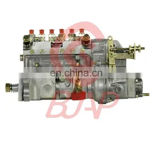 6BT5.9 Engine Fuel Injection Pump 4981193 CRSV425/1200AD7C305R thumbnail-1