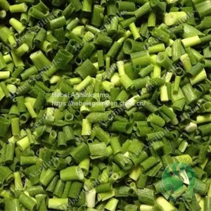 Frozen Spring Onion thumbnail-1