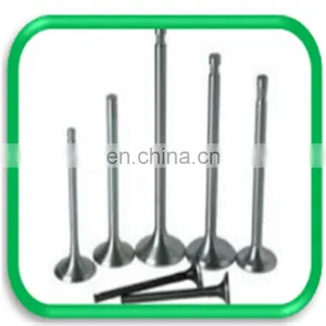 Truck Spare Parts Intake and Exhaust Engine Valve for Daf xf 105 95 106 thumbnail-6