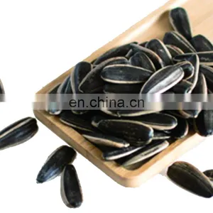 Argentina Sunflower High Oil Seeds thumbnail-2