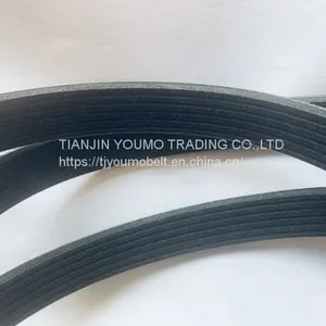 Pk Belts thumbnail-1