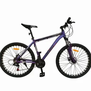 Cheap Mountain Bike 26 Inch Adult Variable Speed Bicycle Dual Disc Brake 21 Speed Mountain Bike in Stock thumbnail-5