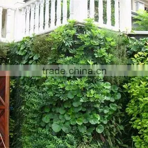 High Quality Indoor & Outdoor Artificial Vertical Green Plants Wall Artificial Decorative Green Wall Quality Choice thumbnail-1