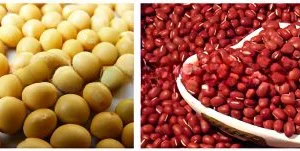 Commercial Soybean Milk Processing Machine Soybean Soak System to Prevent Lactose Intolerance thumbnail-4