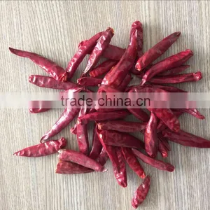 Red Chili at Wholesale With High Quality and New Crop thumbnail-6