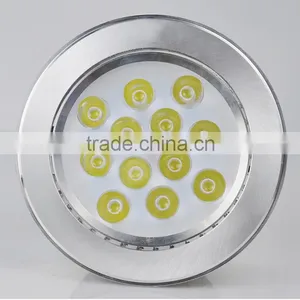 Brand New Ceiling Light Color Changing Led With High Quality thumbnail-2