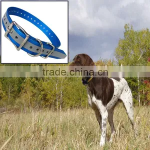 Colorful Hunting Dog Collar in Hunting Season thumbnail-4