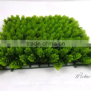 Selling Everygreen UV Protected Artificial Boxwood Grass Turf / Plastic Lawn /carpet With Low Price From Carpet Supplier thumbnail-4